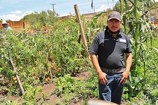 Más de la Estafa Maestra: Sagarpa pagó 220 mdp por proyectos plagiados de Wikipedia