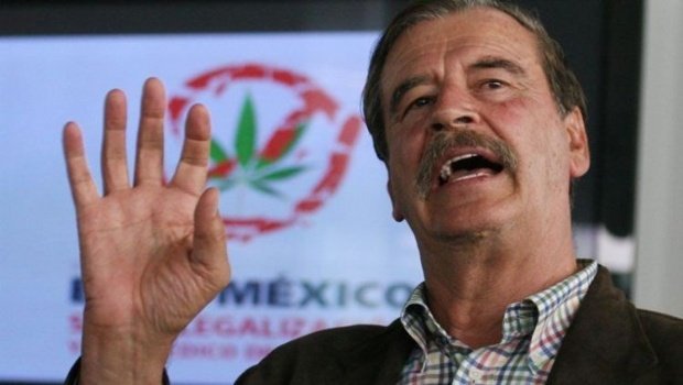 Anuncia Fox foro sobre usos de cannabis en México