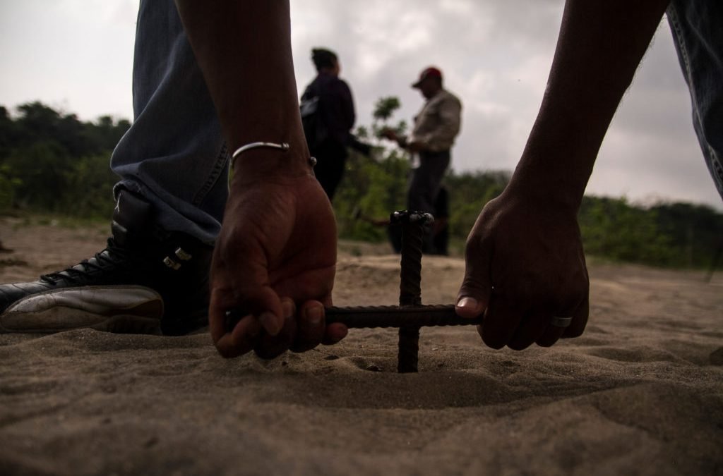 En cuatro meses, hallan 42 cadáveres en fosas en Nayarit