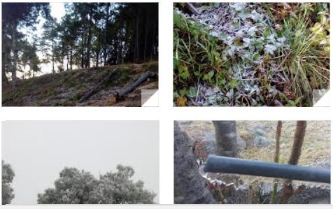 Exhorta CEPCO a atender recomendaciones por bajas temperaturas en Oaxaca