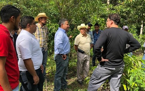 Nestlé México y cafeticultores de la Sierra Mazateca fortalecerán comercialización del grano