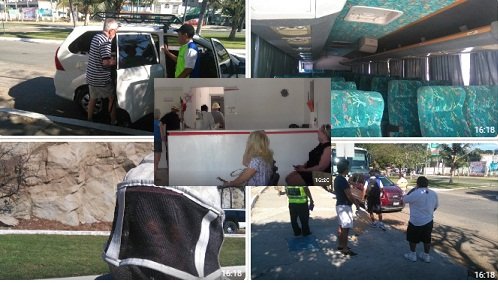 Abejas áfricas les pican a turistas en Huatulco