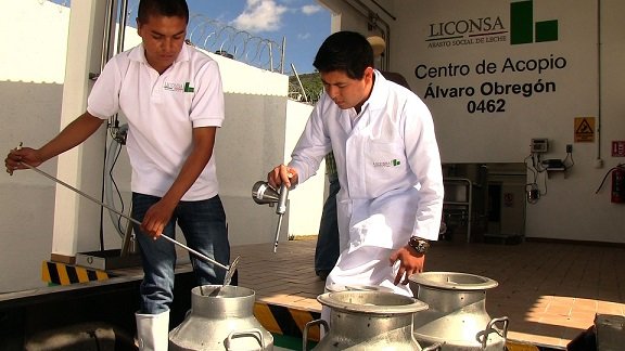 En 2017, Liconsa compró 500 millones de litros de leche a productores mexicanos