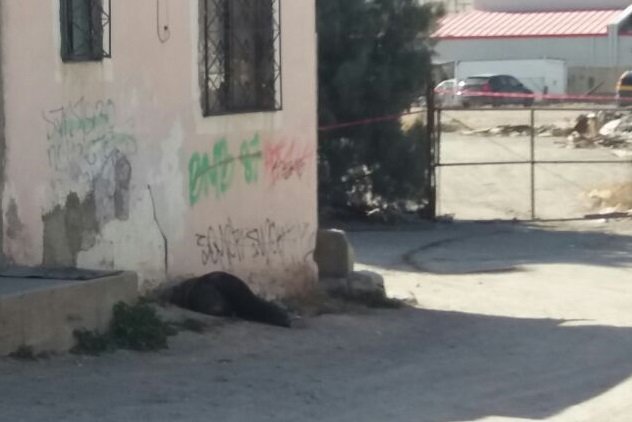 Cd. Juarez: Crimen pasional