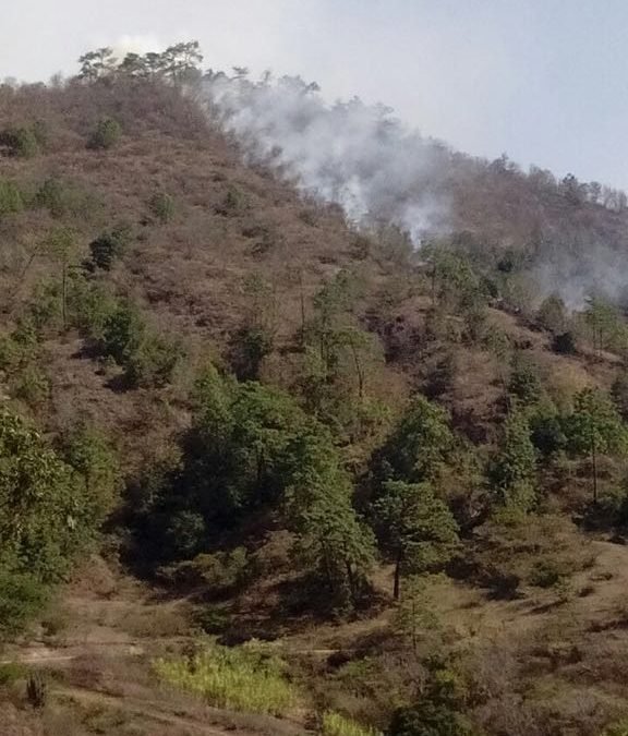 Incendio Forestal en Sierra Norte controlado en un 55 por ciento