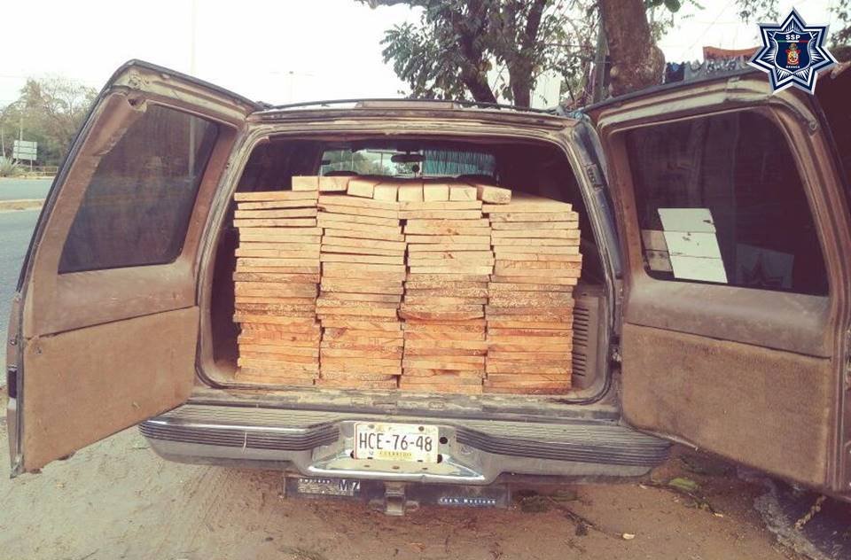Detienen a una persona que trasportaba madera en Puerto Escondido
