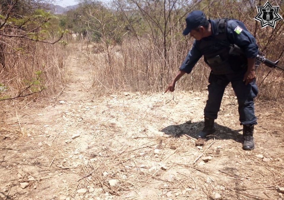 Fuerzas estatales localizan toma clandestina de hidrocarburo en Ixtaltepec