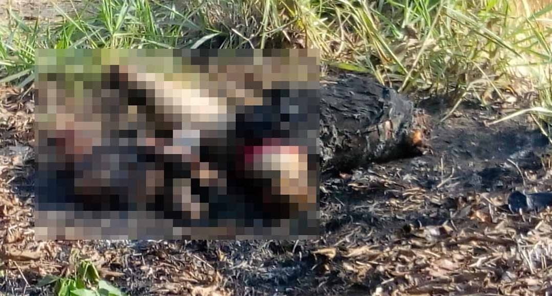 Hallan cuerpo desmembrado y calcinado en Chacalapa