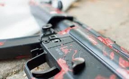 Sedena exige devolver armas alemanas ilegales