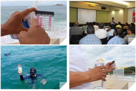 Playas de Oaxaca libres de marea roja: SSO