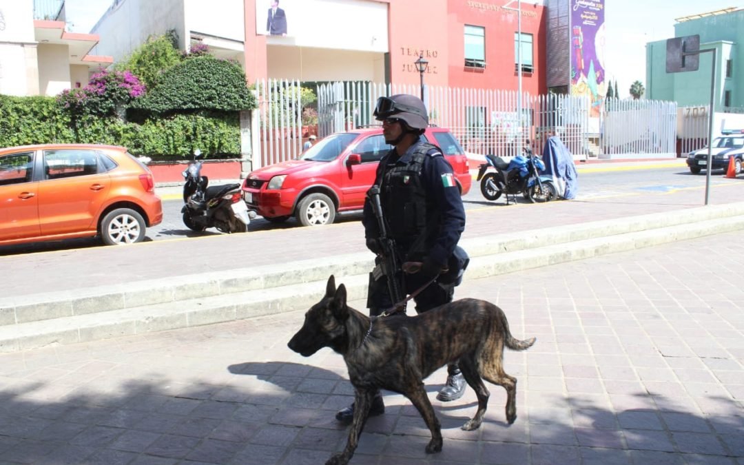 Fuerzas estatales de seguridad implementan “Operación Sellamiento”