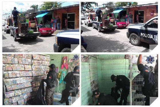 IMPLEMENTAN SSPO Y PGR OPERATIVO CONJUNTO PARA DETECTAR VENTA DE DISCOS Y PELÍCULAS PIRATAS EN EL PAPALOAPAN