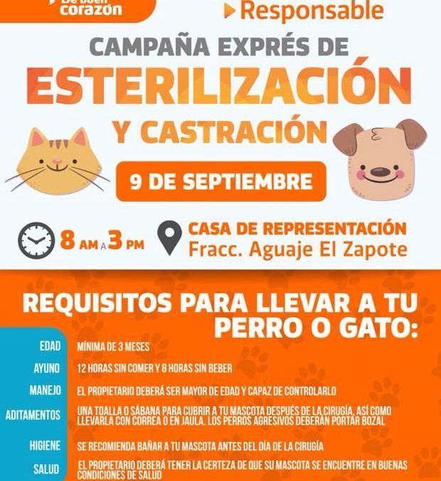 Campaña de esterilización
