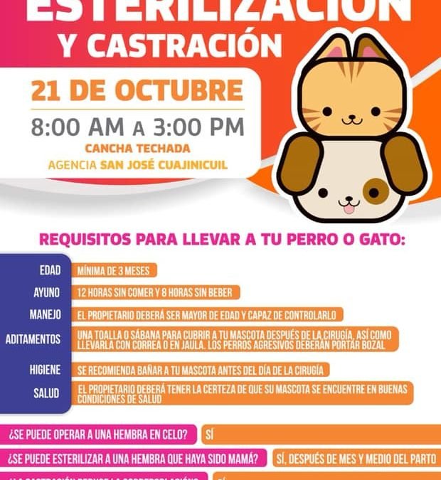 Campaña de Esterilización