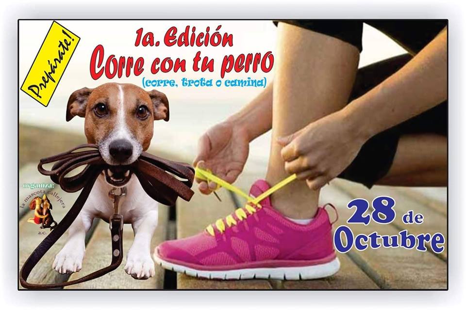 Corre con tu perro