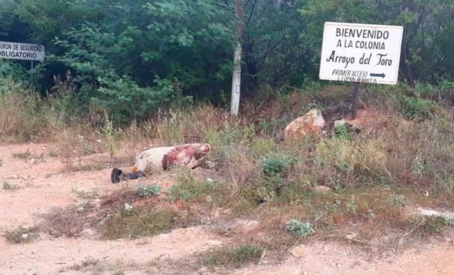 Encuentran cuerpo en Salinas del Márquez