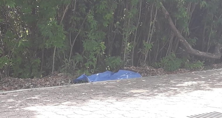 Fallece persona en situación de calle en Huatulco