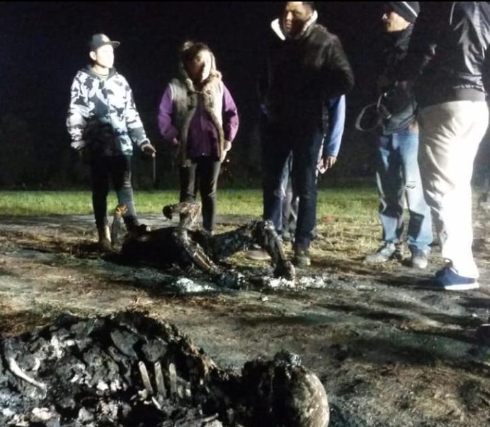 FALTA DE ESTADO; ABUNDANCIA DE CUIDADO DE IMAGEN