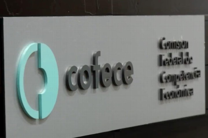 Cofece presenta controversia constitucional contra ley de salarios