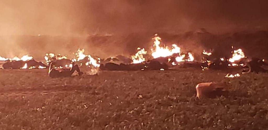 Del Pueblo bueno y sabio ….