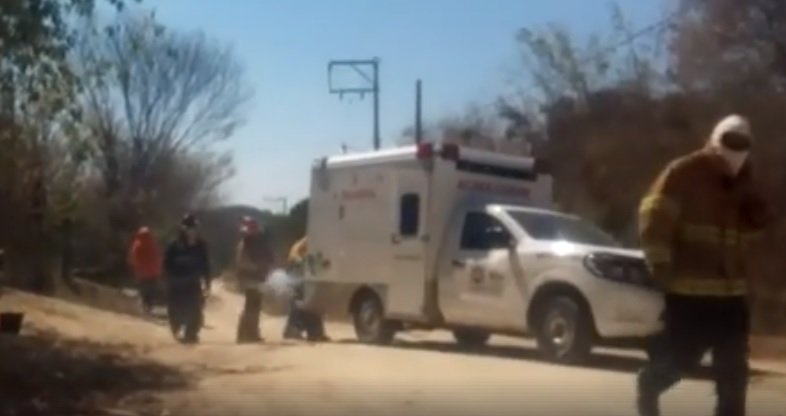 Atacan abejas a vecinos de Santa María Huatulco