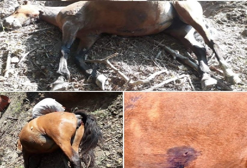 Denuncia ciudadana de vecina de Barra de la Cruz