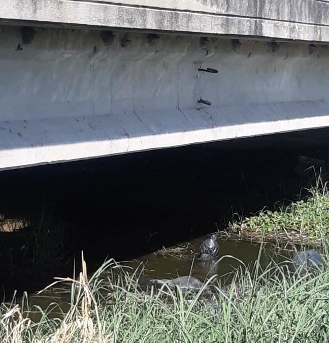 Encuentran 19 cuerpos en Jalisco