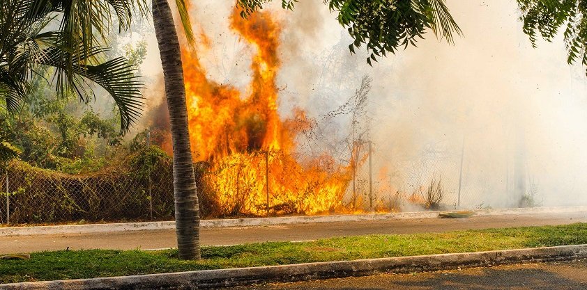 Ponen en riesgo a escuelas y ha más de 50 casas por incendio forestal en Huatulco