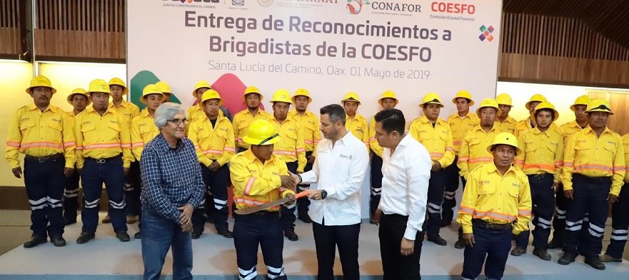 Acuerdan Gobierno de Oaxaca y Conafor trabajo coordinado en materia forestal