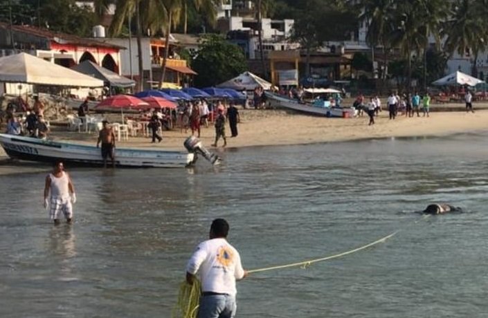 Concluye operativo de búsqueda en Puerto Escondido: CEPCO