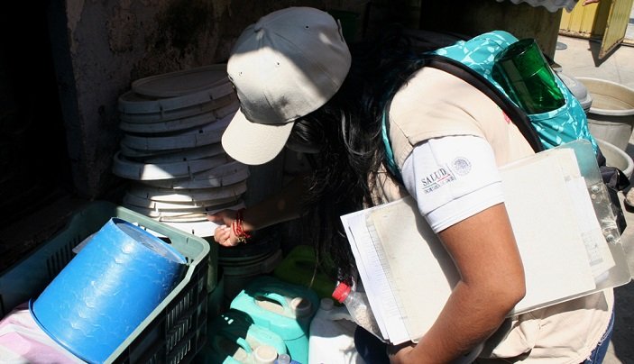 Urge participación comunitaria para  evitar dengue, zika, chikungunya y fiebre amarilla: SSO