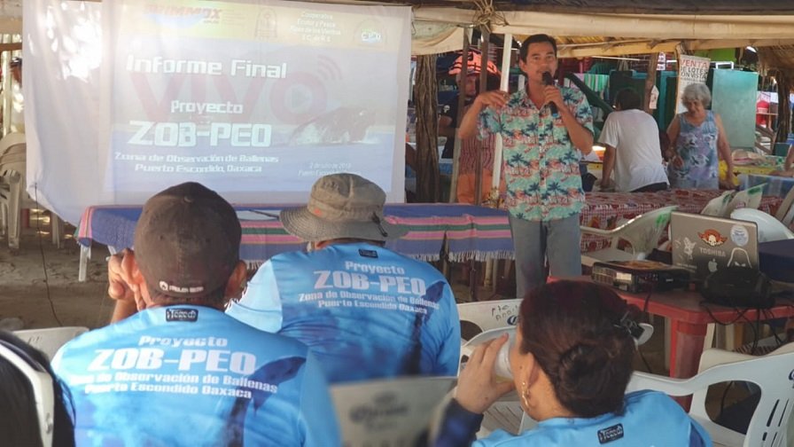 Presentan proyecto para declarar Zona de Observación de Ballenas a Puerto Escondido