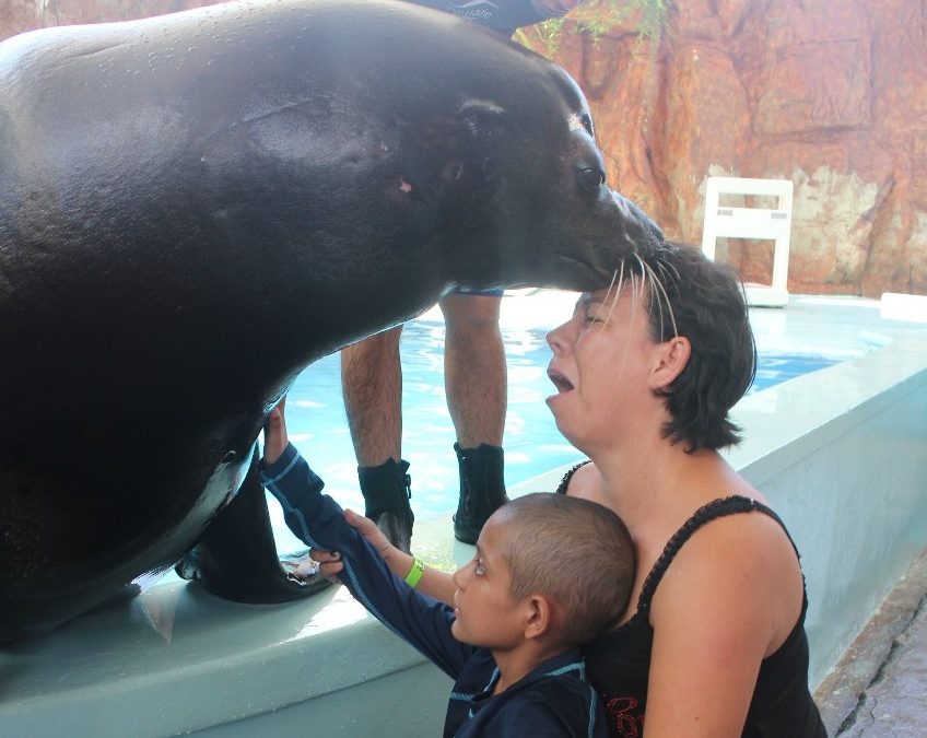 ¡Experiencia fuera de serie vive Jonathan en Acuario Mazatlán!