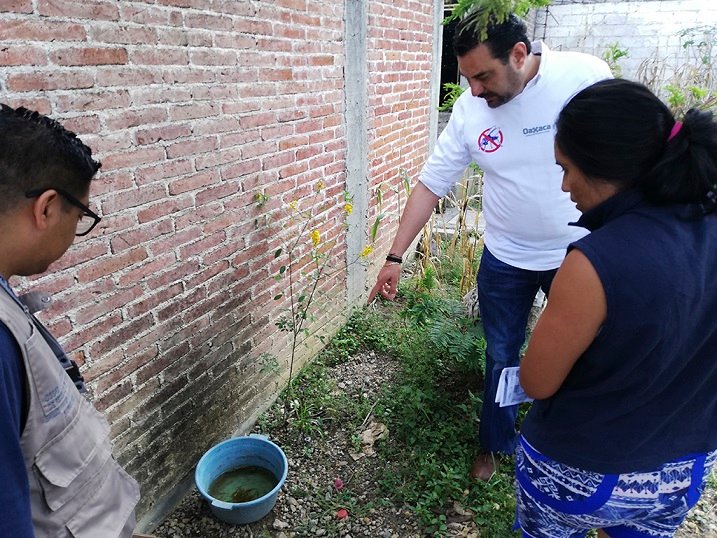 Fortalece SSO participación ciudadana contra el dengue