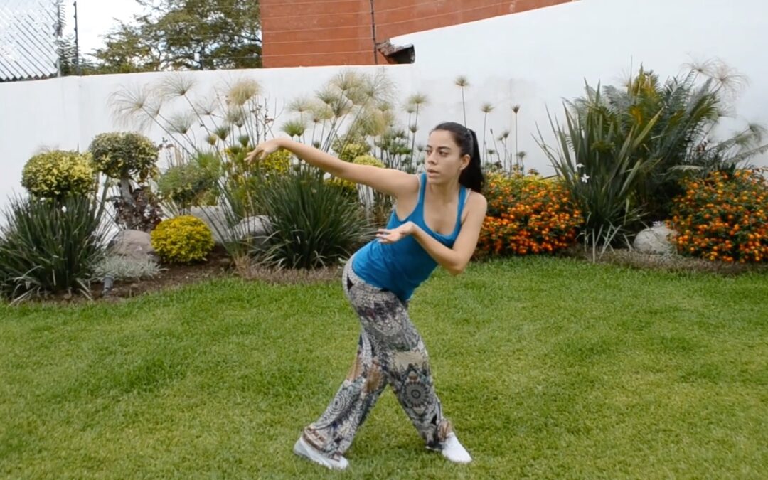 Seculta transmitirá el video “Descubriendo la Danza.