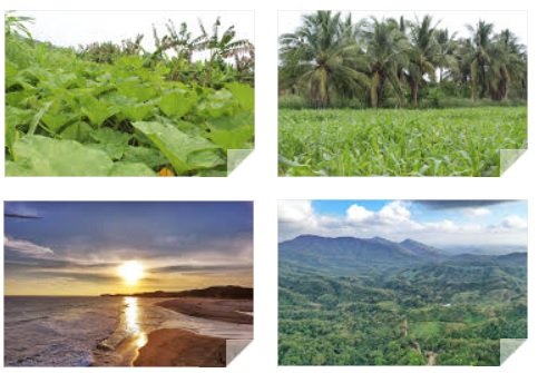 HUATULCO TURÍSTICO, CON CAMPOS IDÓNEOS PARA EL CULTIVO