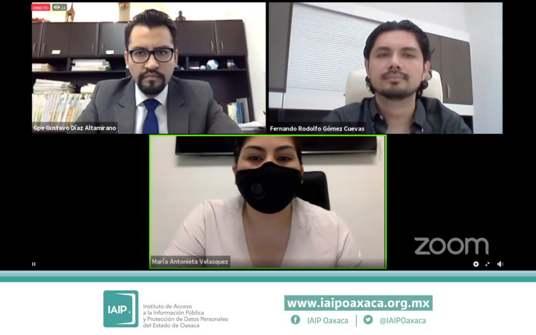 RESUELVE IAIPO RECURSOS DE REVISIÓN,