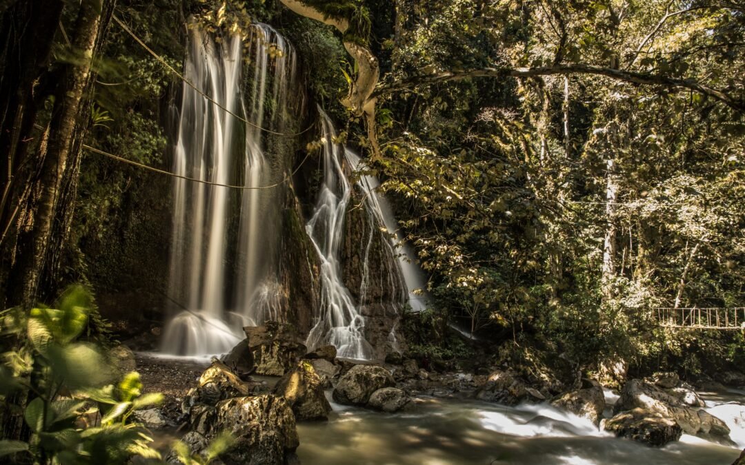 “LA MÍSTICA TIERRA DE LOS HONGOS ALUCINÓGENOS”