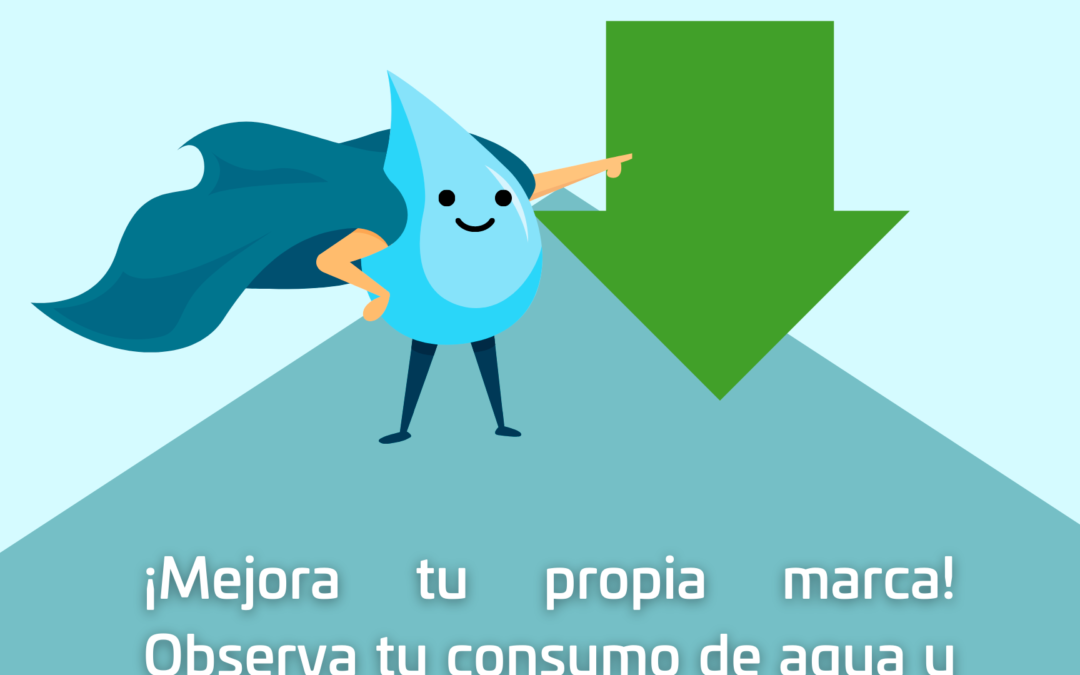 Emite SAPAO recomendaciones para hacer uso eficiente del agua potable