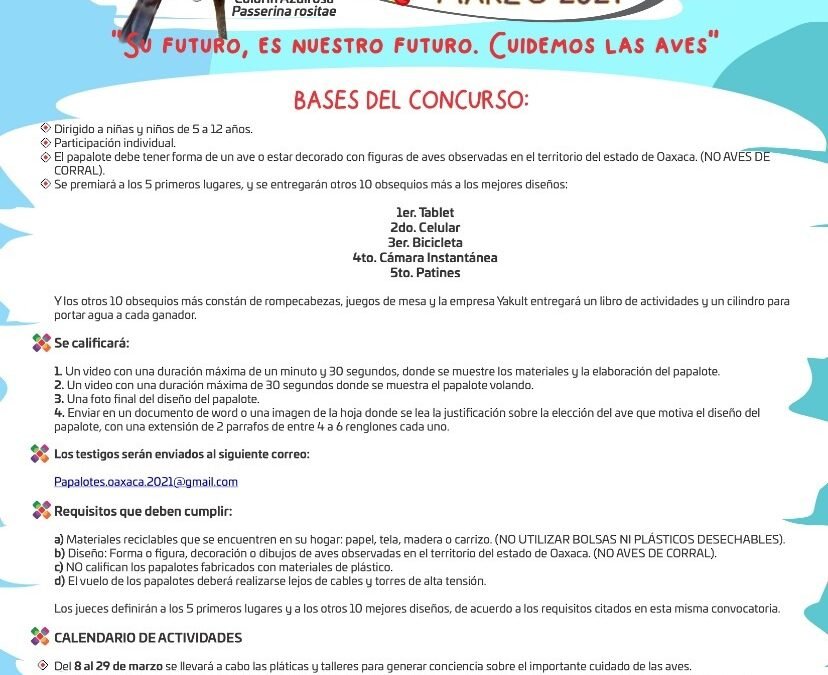 Niñez de Oaxaca echará a volar su imaginación en el concurso de papalotes de la Semaedeso