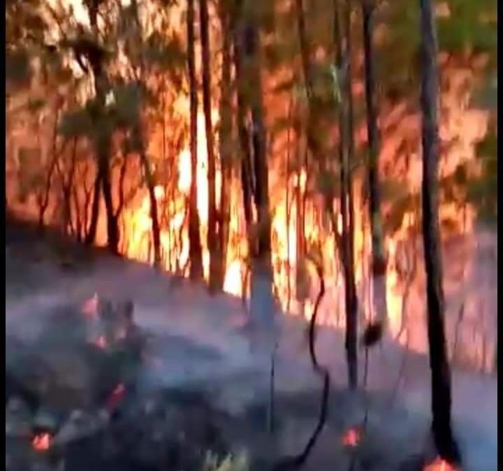 FUEGO SIN CONTROL EN TEOJOMULCO CONVERTIDO EN UN “INFIERNO”, EL GOBIERNO ESTATAL Y FEDERAL LES NIEGA AYUDA