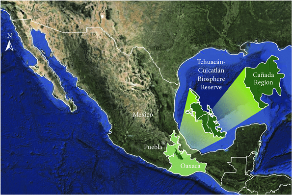 198 años de prisión por delito de pornografía infantil en La Cañada