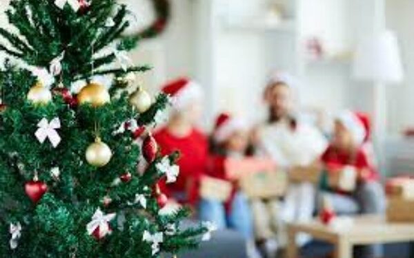 ¡Celebra con responsabilidad las festividades decembrinas!: SSO