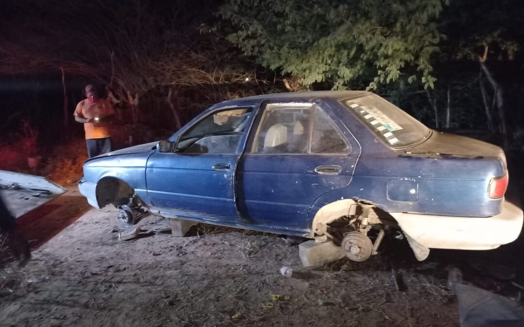 En el Istmo, detuvimos a 4 sujetos y aseguramos vehículos reportados como robados: FGEO