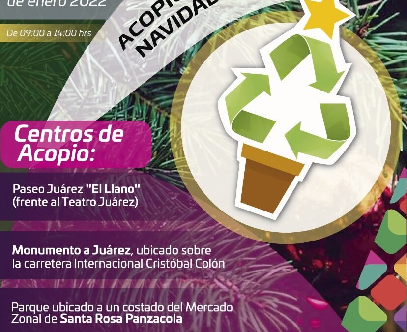 Convoca Semaedeso a acopio de árboles de navidad naturales