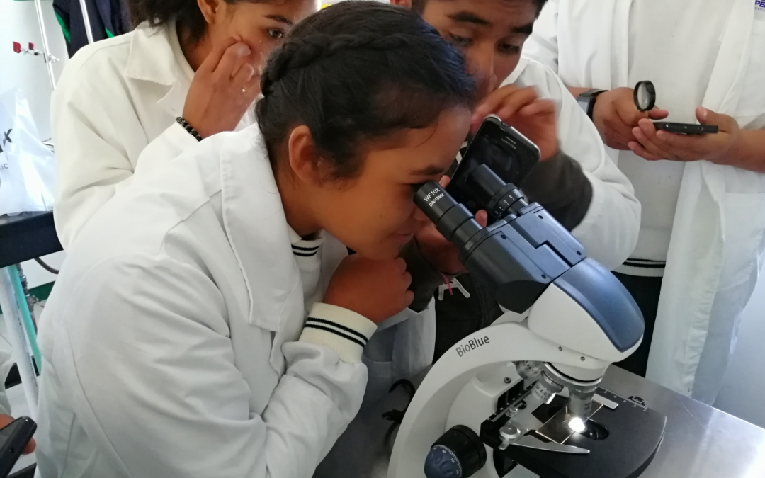 Científicas e investigadoras de la Red Global MX Capítulo España brindarán conferencias virtuales a estudiantes del CECyTEO