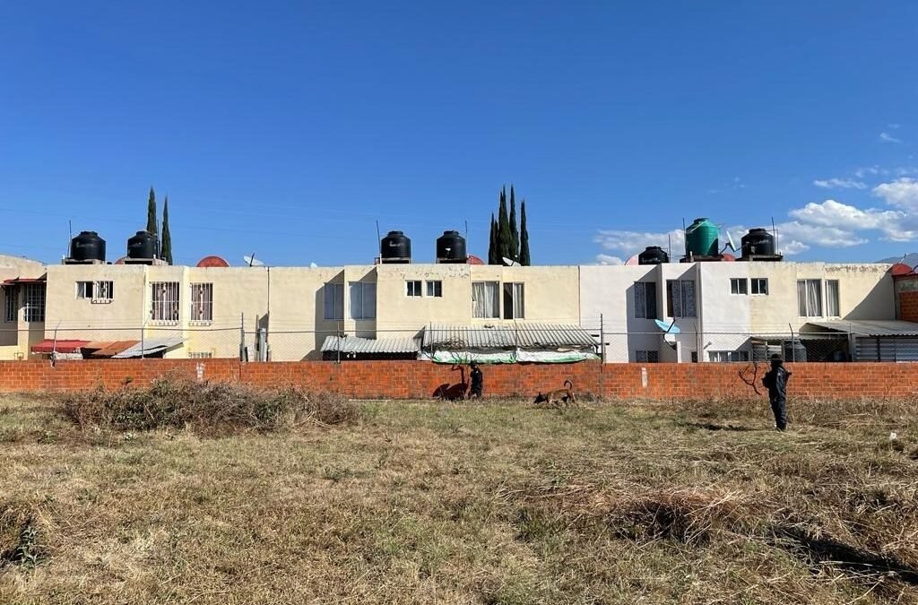 Fiscalía de Oaxaca localiza a dos personas y realiza operativos de búsqueda y cateo en Atzompa