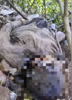 Se compromete Fiscalía de Oaxaca a realizar investigación sin sesgo tras hallazgo de persona fallecida en Huautla de Jiménez