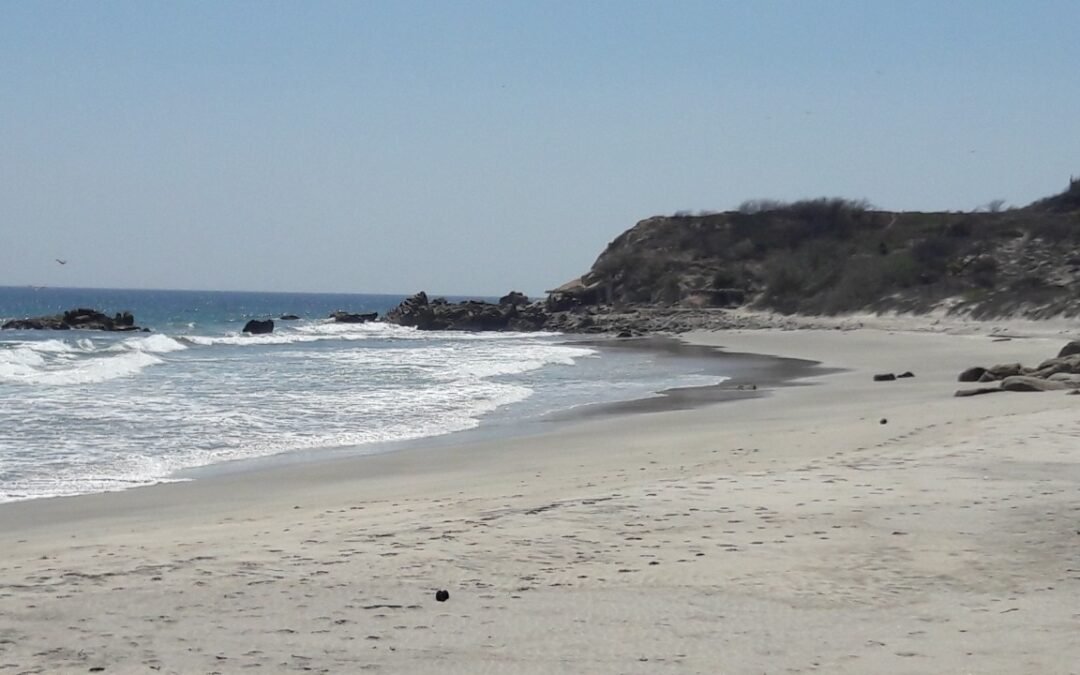 Continua veda sanitaria por Marea Roja en costas del Istmo: SSO