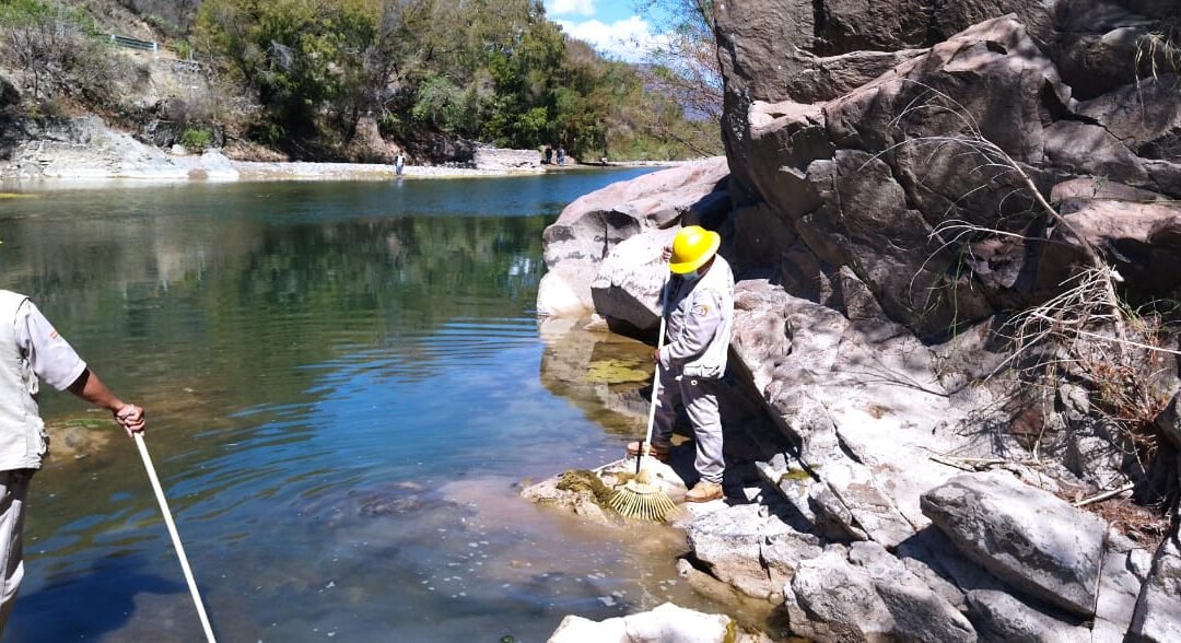 Se mantiene Oaxaca con cero casos autóctonos de Paludismo: SSO